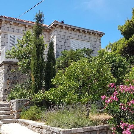 Downtown Serenity House دوبروفينك المظهر الخارجي الصورة