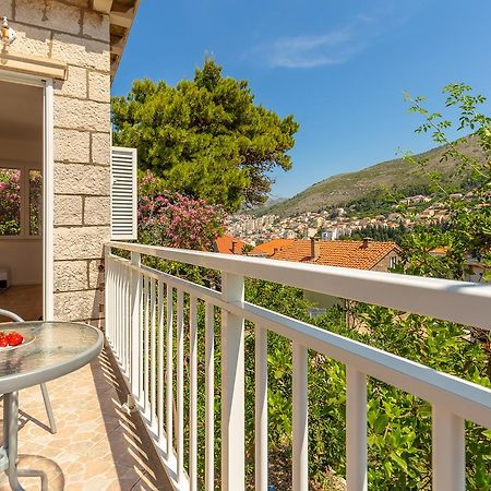 Downtown Serenity House دوبروفينك المظهر الخارجي الصورة