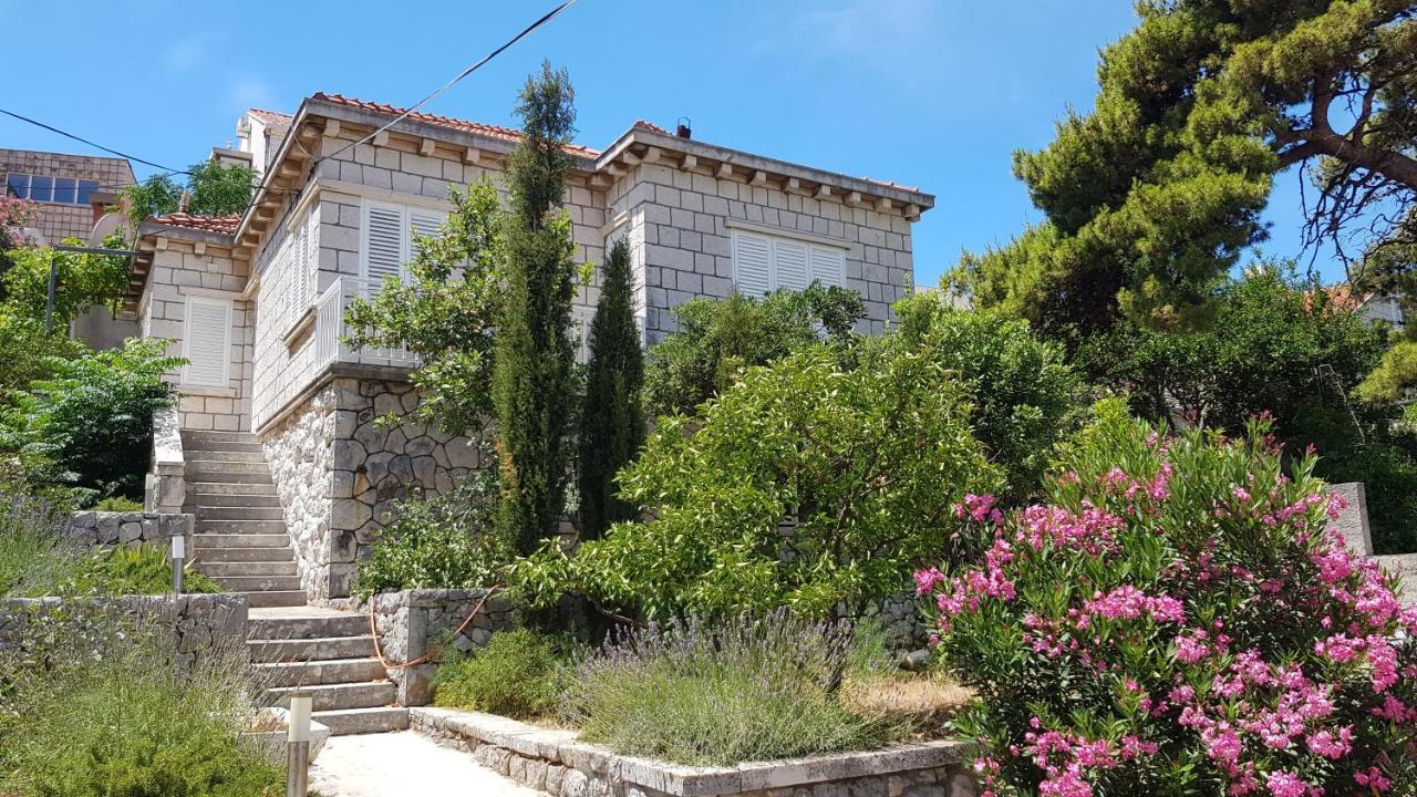 Downtown Serenity House دوبروفينك المظهر الخارجي الصورة