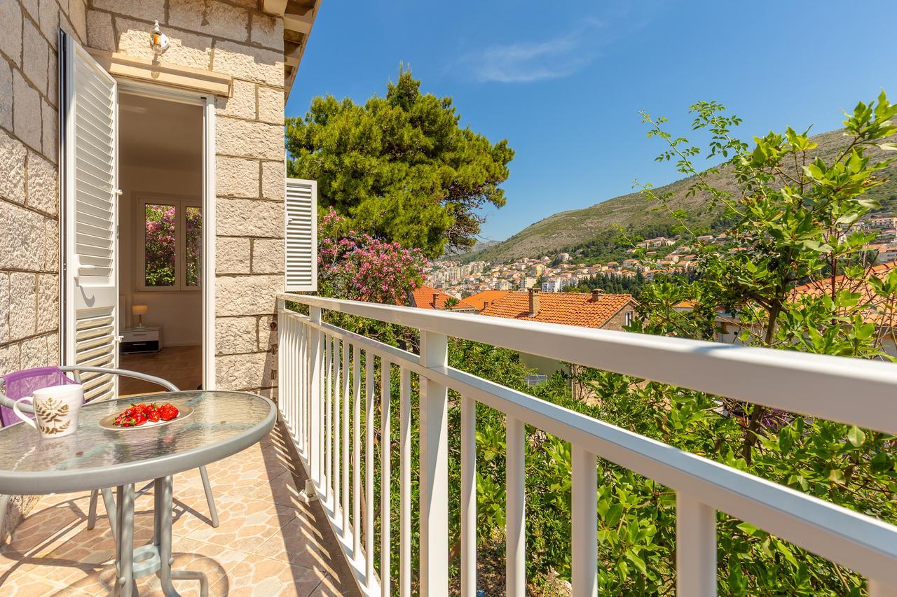 Downtown Serenity House دوبروفينك المظهر الخارجي الصورة