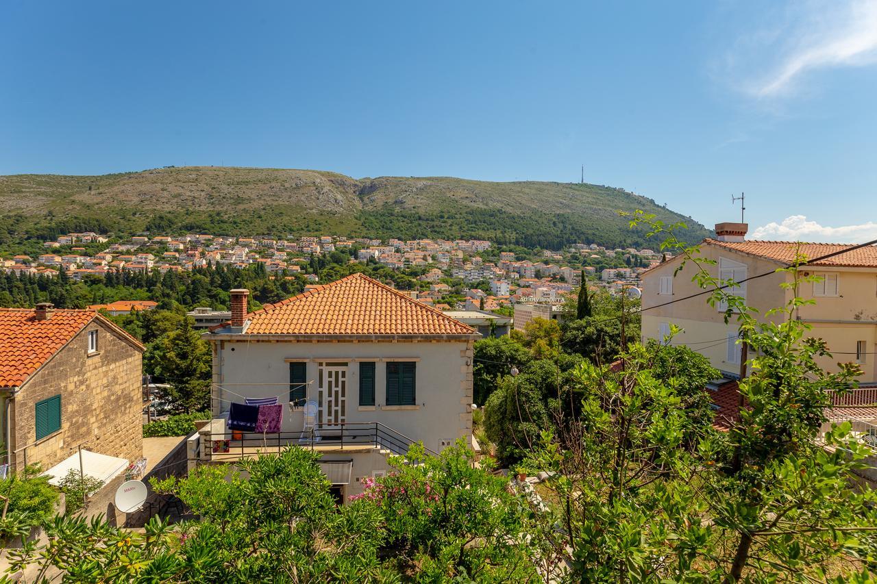 Downtown Serenity House دوبروفينك المظهر الخارجي الصورة